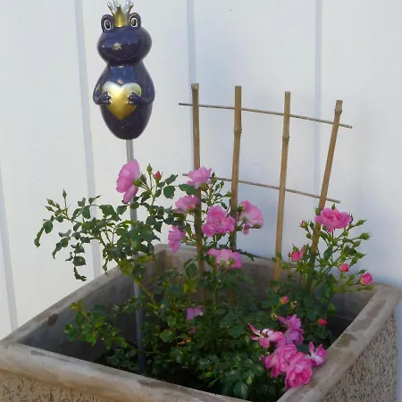 Bungalow Toscana - 350m Zum Strand *